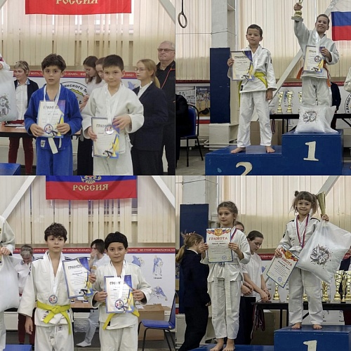 Турнир по дзюдо среди мальчиков 2014-2015 и 2016-2017 г.р. на призы Страхового общества «ЕвроИнс» 
