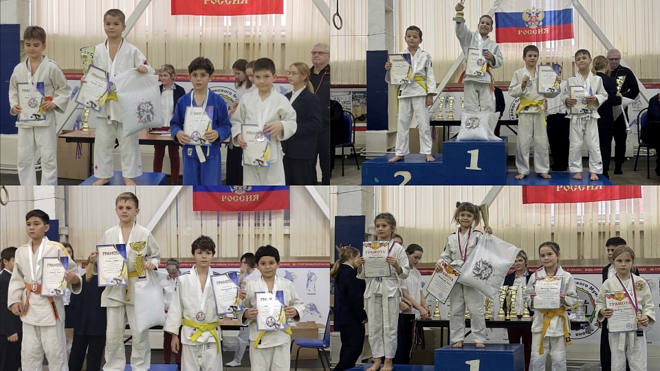 Турнир по дзюдо среди мальчиков 2014-2015 и 2016-2017 г.р. на призы Страхового общества «ЕвроИнс» 