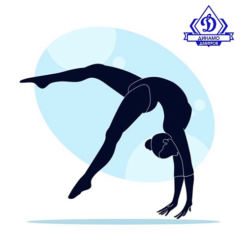 Наши гимнастки на Открытом Кубке РФСО «Локомотив» г. Москва! 