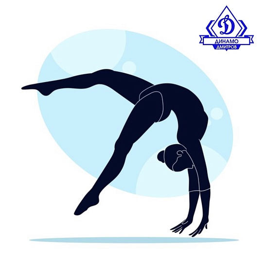 Наши гимнастки на Открытом Кубке РФСО «Локомотив» г. Москва! 