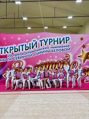 Спортивные соревнования Сергиево-Посадского муниципального округа по художественной гимнастике «Золотой звездопад» на призы Олимпийских чемпионок – Елены Посевиной и Ирины Беловой