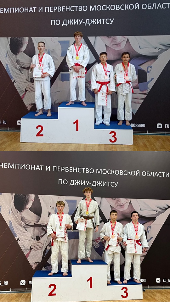 Первенство Московской области по джиу-джитсу среди юношей и девушек